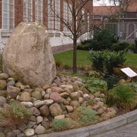 Brunnen